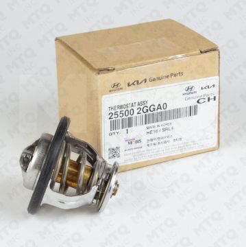 TERMOSTAT (SEUL) şəkil