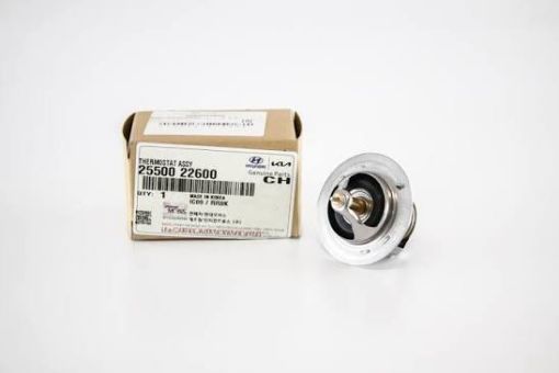 TERMOSTAT992 (DL AUTOPARTS) şəkil