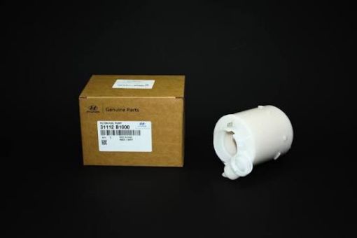 BENZIN FILTER şəkil