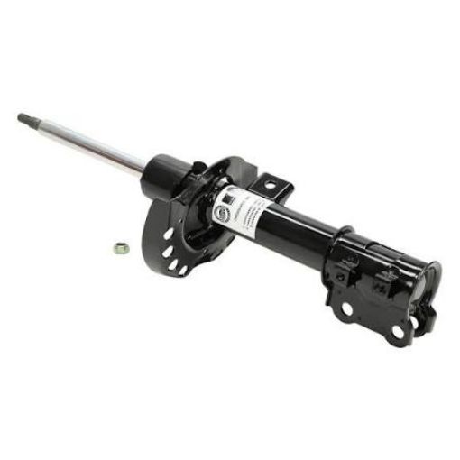 AMARTIZATOR ON GOLD (GOLD) şəkil